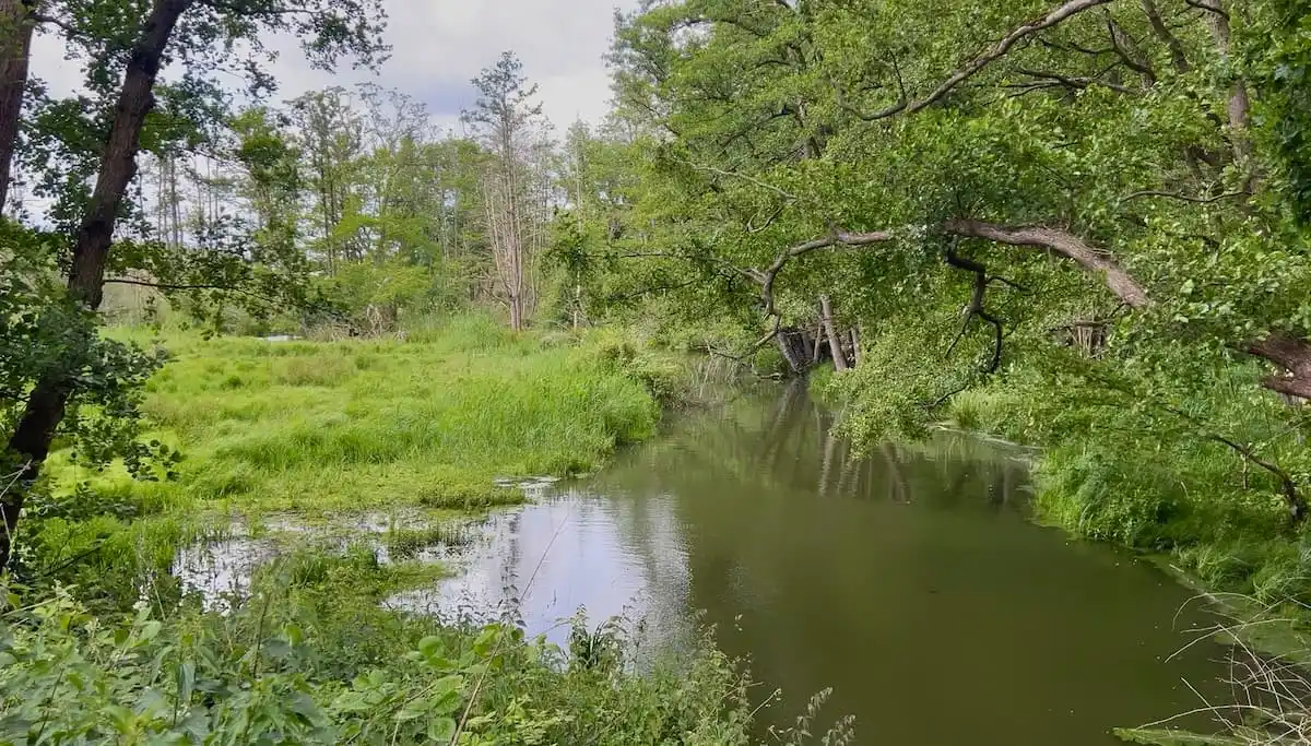 Rund um den Poelvenn
