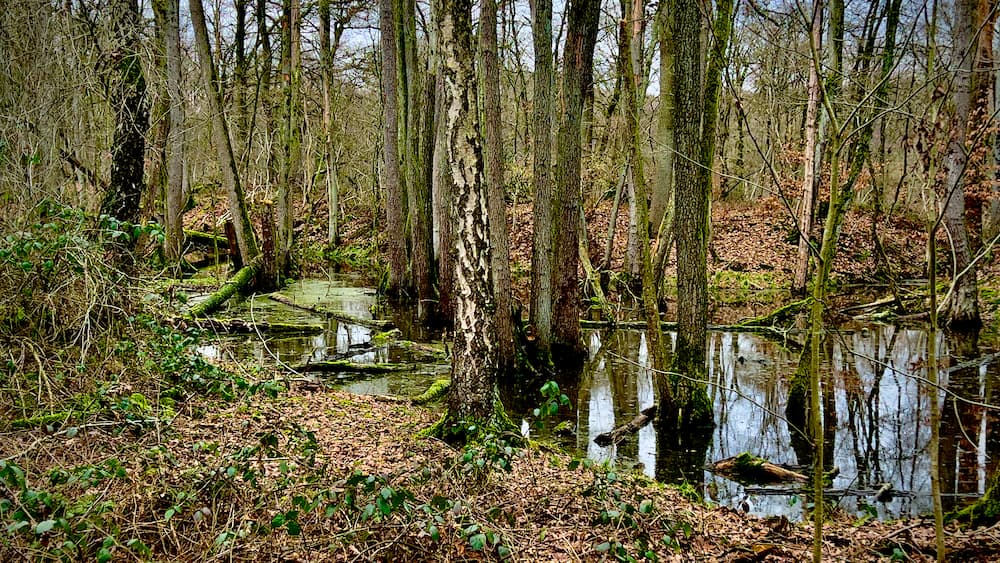 Hinsbecker Höhen Wanderung