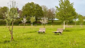 Jubiliäumspark Streuobstwiesen in Hinsbeck
