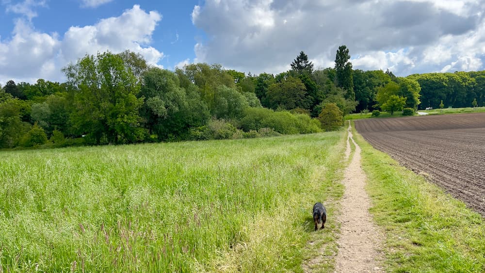 Wanderung Hinsbeck Rund um den Taubenberg