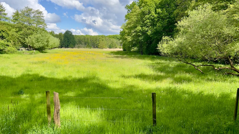 Wanderung Hinsbeck Rund um den Taubenberg