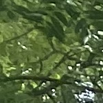 Benutzerprofilbild