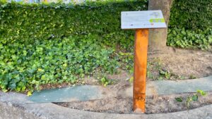 Neue Radtour verbindet Nettetaler Heimatfiguren