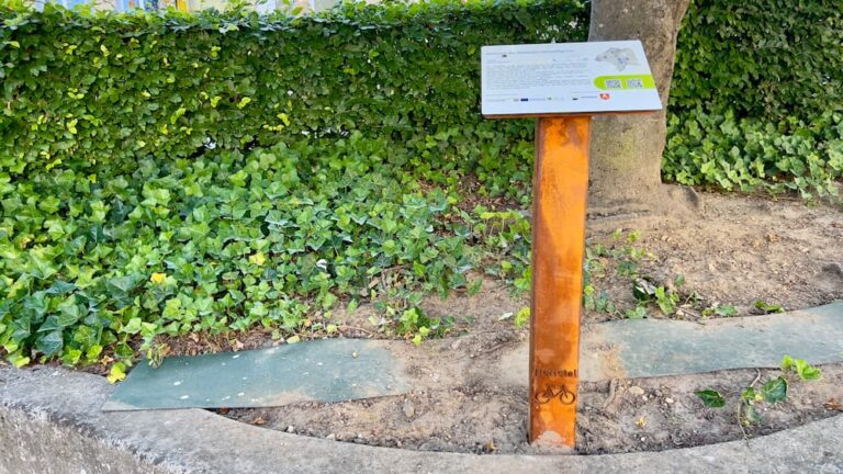 Neue Radtour verbindet Nettetaler Heimatfiguren